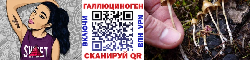 Галлюциногенные грибы мицелий  закладки  Ефремов 